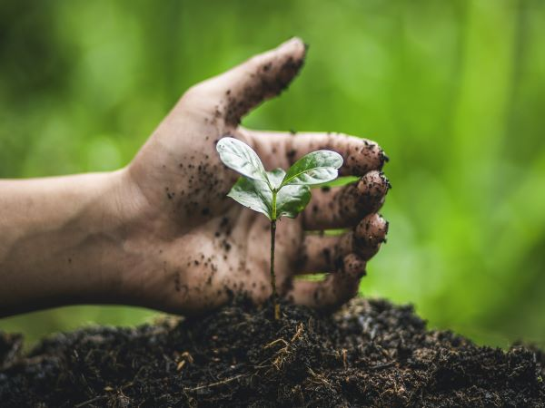 a hand with dirt during gardening